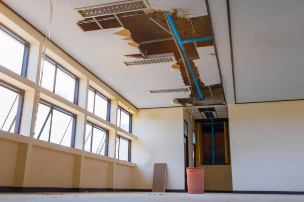 Water damage restoration insurance claims in Pioneer, CA