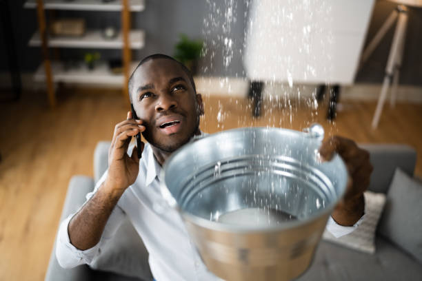 Best Professional water damage repair  in Pioneer, CA