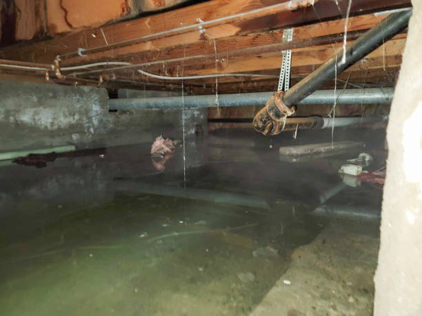 Best Fire Damage Restoration  in Pioneer, CA