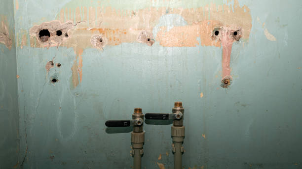 Best Emergency water extraction  in Pioneer, CA