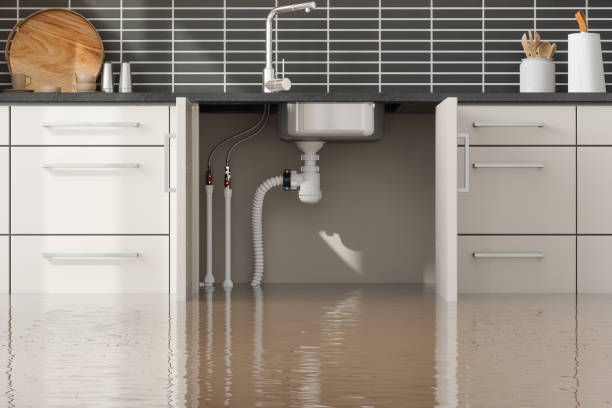 Best Water damage restoration insurance claims  in Pioneer, CA