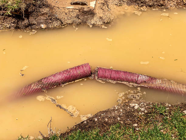 Best Emergency water damage restoration  in Pioneer, CA